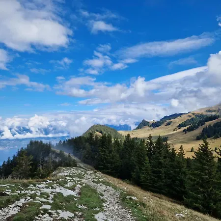 Confort Montagne Et Leman *
