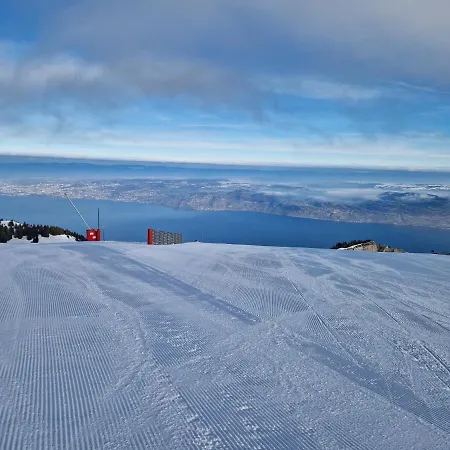 Confort Montagne Et Leman * تولو
